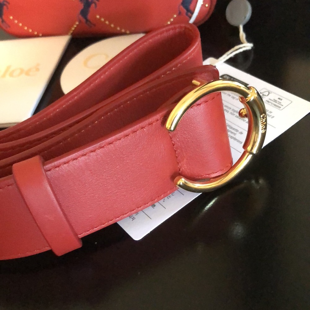 New Authentic Chloe belt bag - Picture 3 of 10
